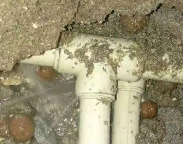 新吴测漏水多少钱