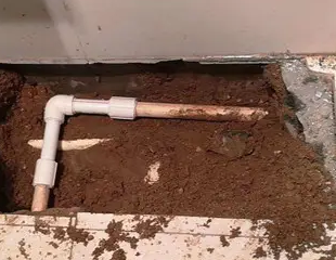 新吴测漏水哪家好